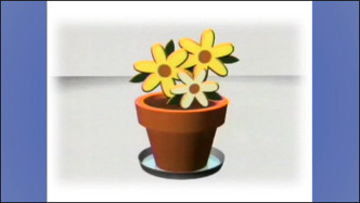 Vasos e plantas - versão com Libras
