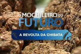 O mochileiro do futuro